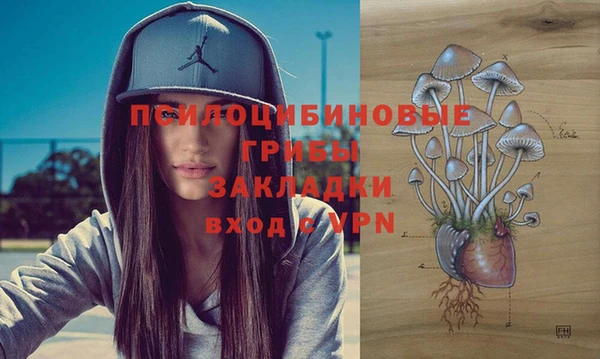 ПСИЛОЦИБИНОВЫЕ ГРИБЫ Алзамай
