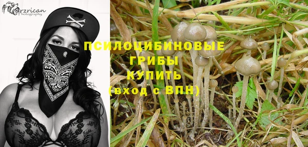 ПСИЛОЦИБИНОВЫЕ ГРИБЫ Алзамай