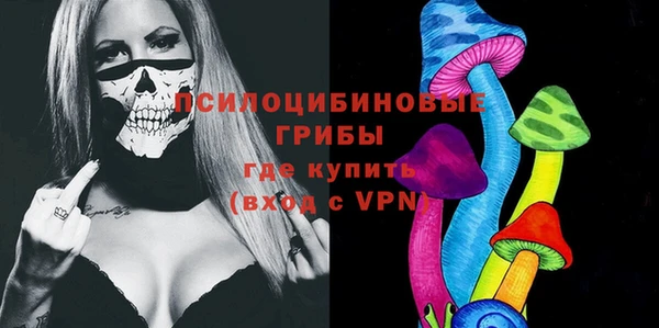 ПСИЛОЦИБИНОВЫЕ ГРИБЫ Алзамай